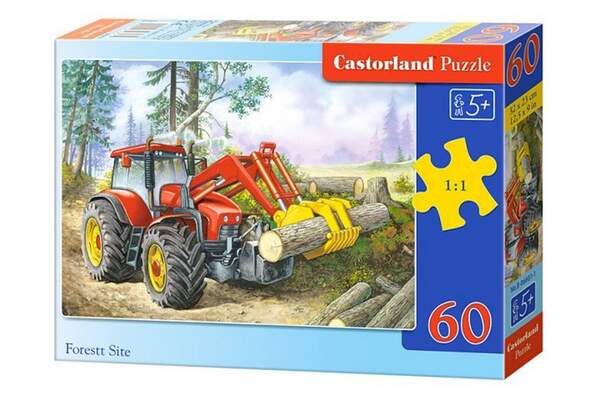 Пазл Castorland 60 В-06366 (шт.)